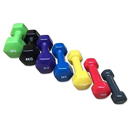 Vinyl Dumbbells