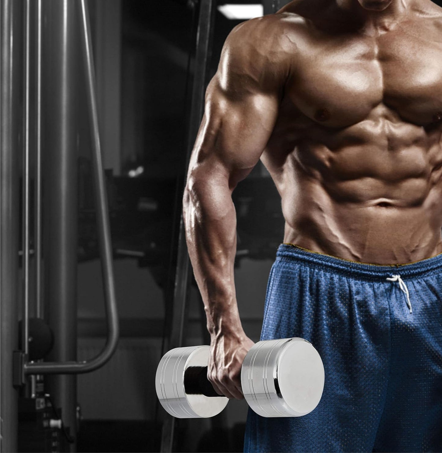 Steel Dumbbells (2 Kg - 70 Kg)