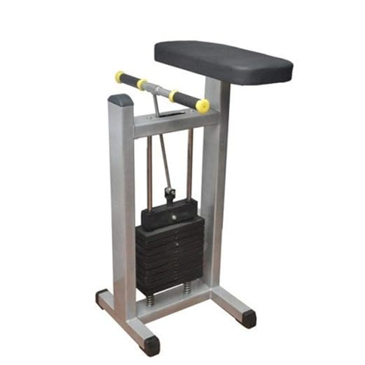 Gamma Fitness Wrist Arm Curl Machine with 40 Kg Weight Stack GF-56