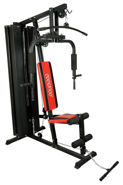 HG-02 Professional Use Home Gym Gym Station with Full Back Cover (HG-02)