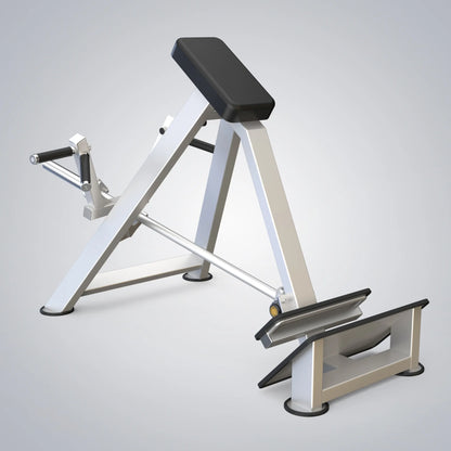 Incline Level Row DS-604