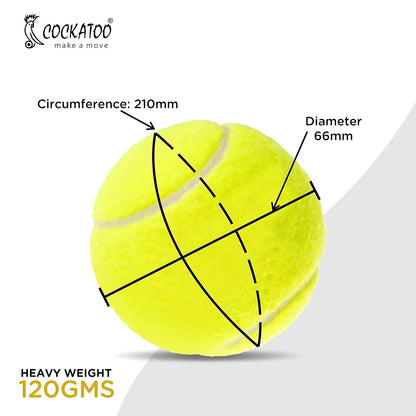 Rubber Cricket Tennis Ball, Construction of Tennis Ball for Cricket for Optimal Performance,Suitable for All Skill Levels. (120 Gr Per Ball - Pack of 2-Yellow)