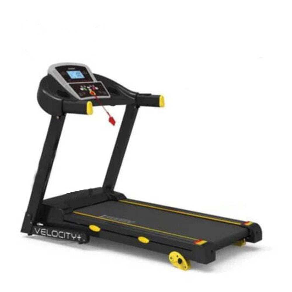 Gamma Fitness Treadmill Velocity Plus