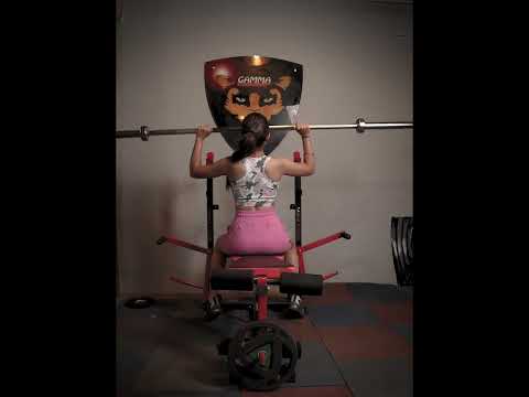 20 in Multi Adjustable Bench Press With Lats Pull Down, Rowing